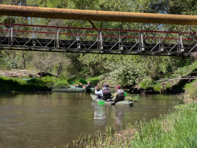 Stary Ziętek spływ kajakowy
